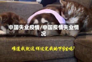 中国失业疫情/中国疫情失业情况