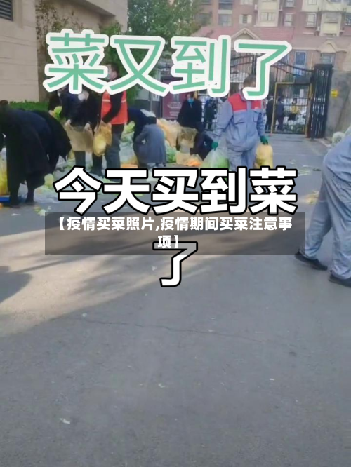 【疫情买菜照片,疫情期间买菜注意事项】-第2张图片