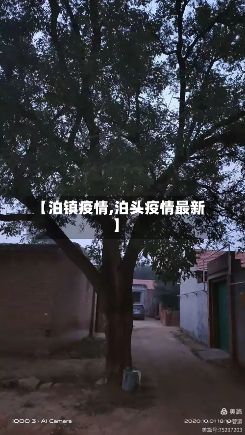 【泊镇疫情,泊头疫情最新】-第3张图片