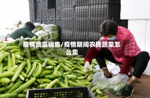 疫情蔬菜销售/疫情期间农民蔬菜怎么卖-第1张图片